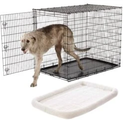 Pet Supply Store -Pet Supply Store 255633 MAIN. AC SS1800 V1604147197