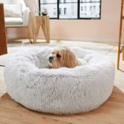 Frisco Eyelash Cat & Dog Bolster Bed & Frisco Eyelash Cat & Dog Blanket -Pet Supply Store 303412 PT4. AC SS1800 V1623069146