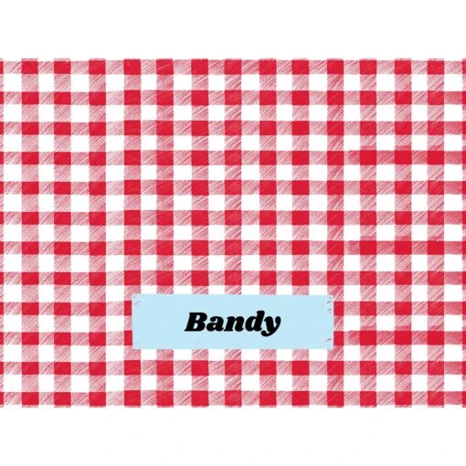 Frisco Personalized Gingham Plaid Soft Fleece Cat & Dog Blanket, 30" X 40" -Pet Supply Store 304001 PT4. AC SS1800 V1637609279