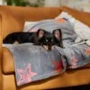 Frisco Plush Cat & Dog Throw Blanket -Pet Supply Store 816702 MAIN. AC SS1800 V1701117014