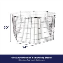 Pet Supply Store -Pet Supply Store 97484 PT1. AC SS1800 V1667228184